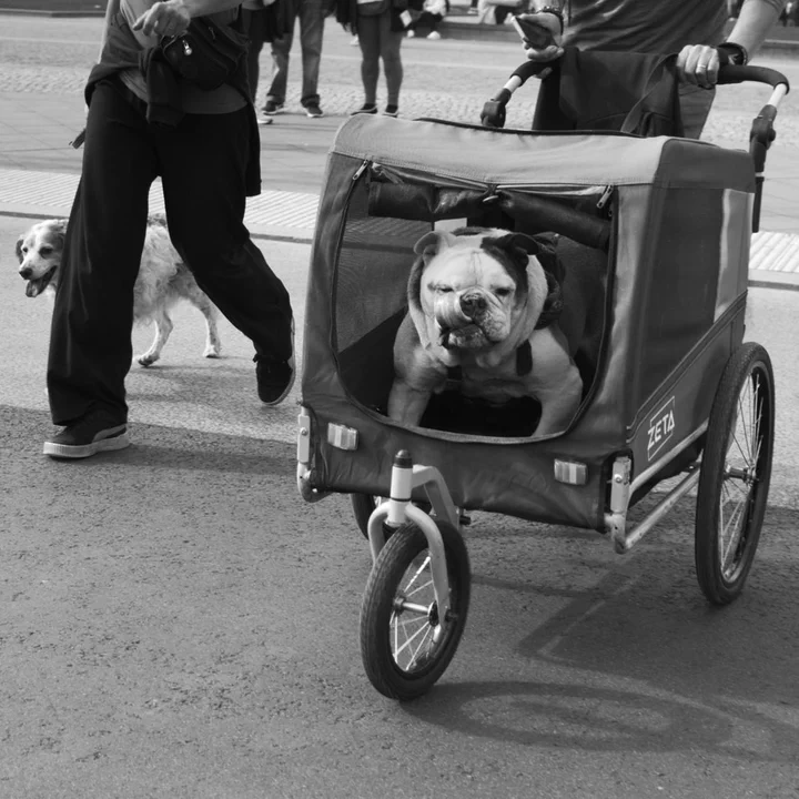 DETAILS part 2, a image series